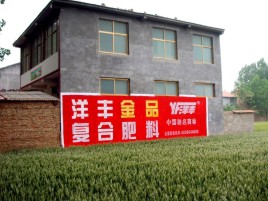 宜兴如何让墙体广告展现最大化效果